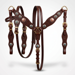 Catagory Product Images